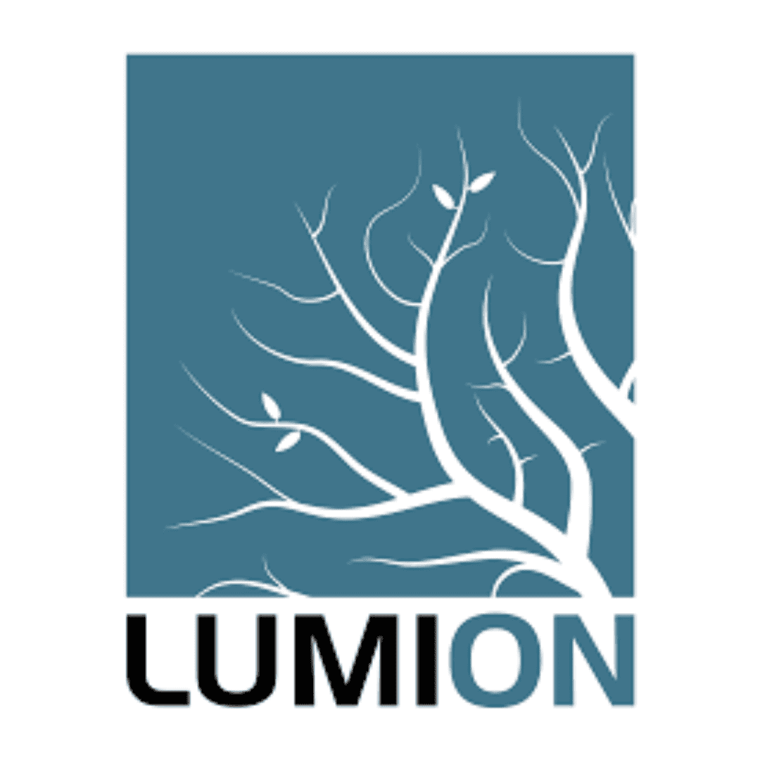 Lumion